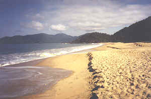 O isolamento da praia traz tranqüilidade aos visitantes, que podem desfrutar de um belo passeio pelas suas areias limpas